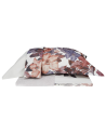 Completo Lenzuolo In Percalle Divine - Gabel